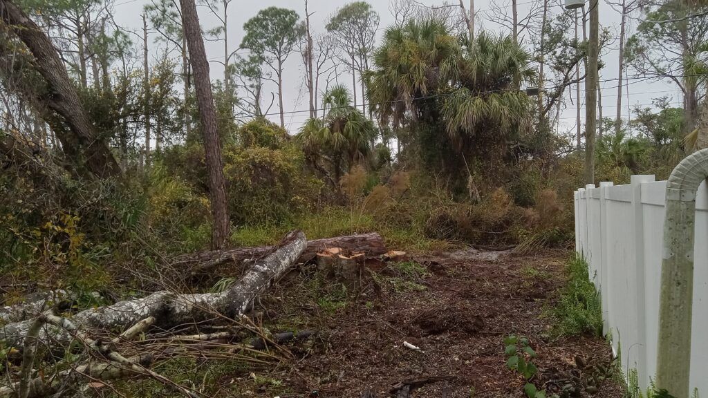 Cleared wooded lot with fallen tree trunk and white fence on the right