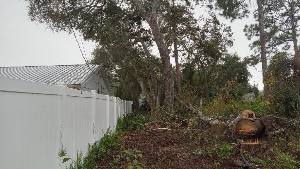 Downed tree and debris beside a white fence and roof after storm damage