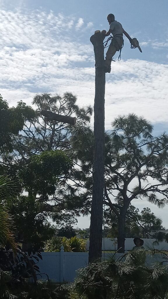 A statue of a person atop a tall pole against a cloudy sky, with trees below.
