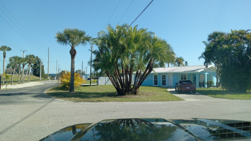 View from a car of a small blue building, palm trees, and parked car on a sunny roadside.