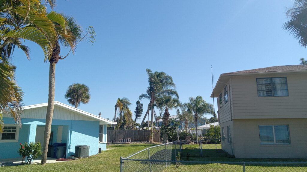 Sunny residential yard with palm trees, a blue house, and a tan apartment building under a clear sky