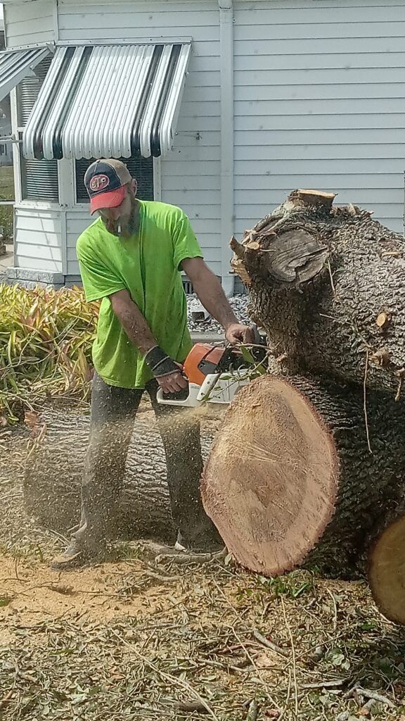Worker in neon green shirt using a chainsaw to cut a large fallen tree trunk in a yard
