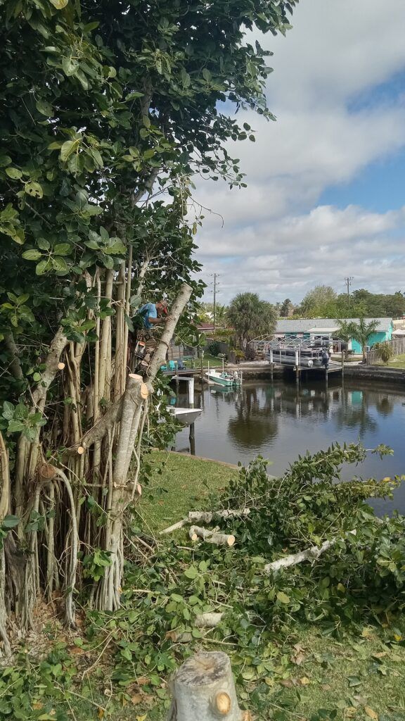 Lush riverside scene with trees in foreground and small boats on calm water near houses.
