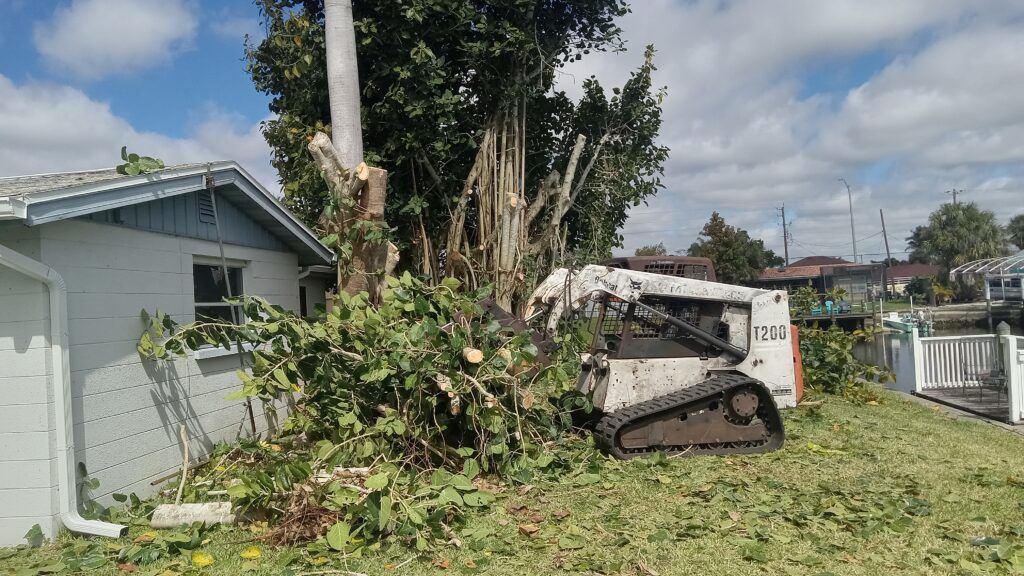 Fallen tree on a lawn beside a house, with a tipped-over vehicle partly visible behind it.