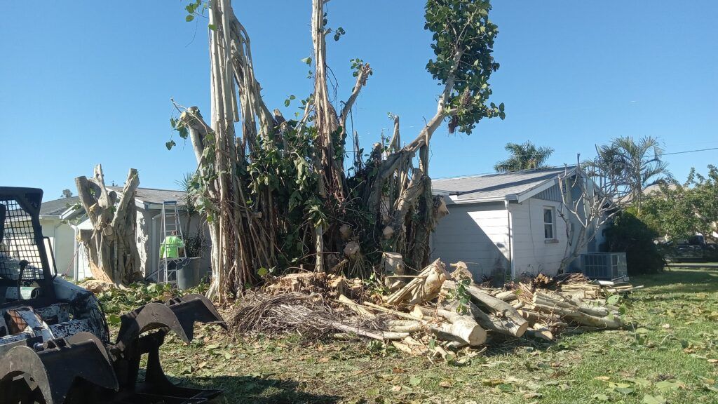 Storm-damaged yard with uprooted tree, debris, and a damaged house under a clear blue sky