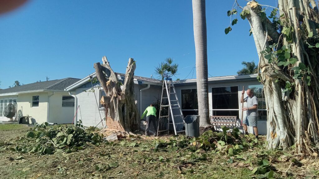 Severely damaged house with fallen trees and debris, two workers inspecting the front porch.