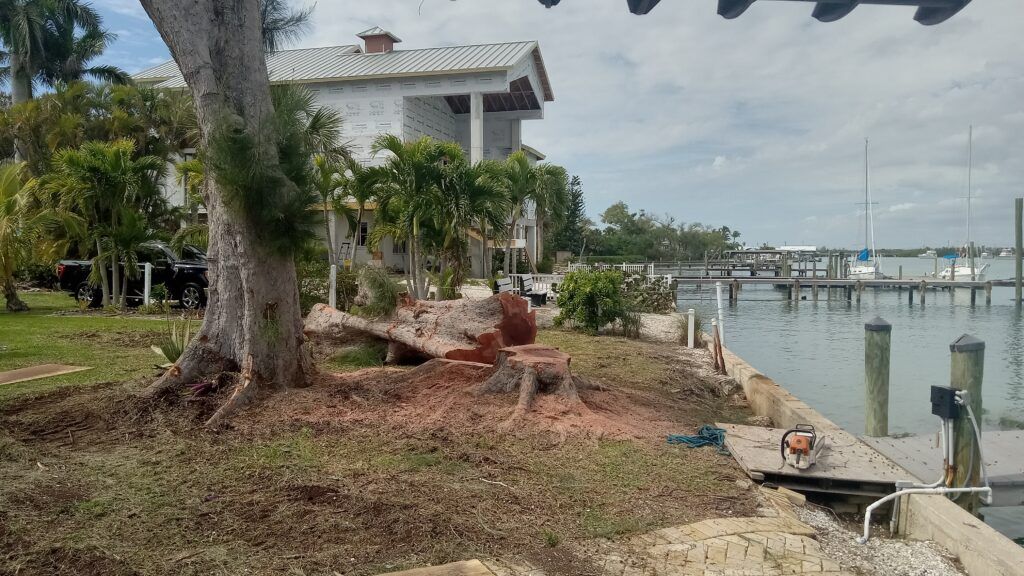 Waterfront yard with a large tree, dock, and boat beside a house on a cloudy day
