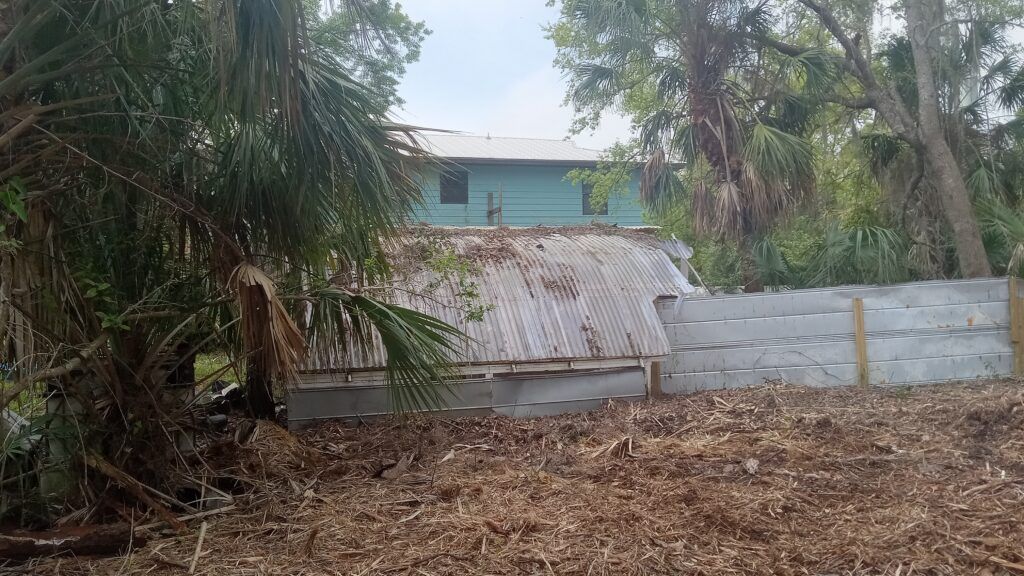 Rural yard with palm trees, a corrugated metal shed, and a low concrete wall in front of a house