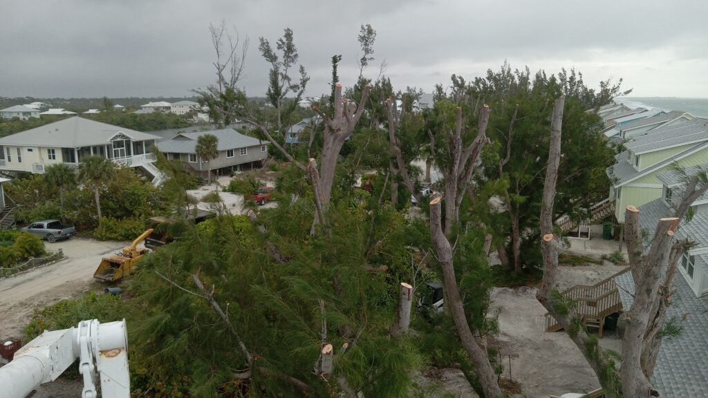 Storm-damaged neighborhood with broken trees and debris amid houses and cloudy sky