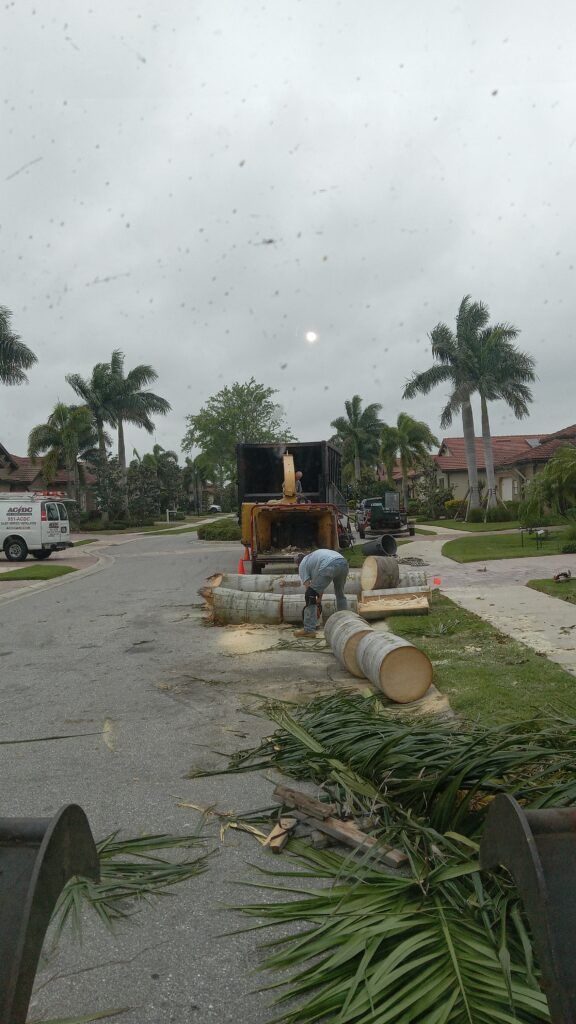 Tree debris and cut logs scattered across a residential street after storm cleanup.