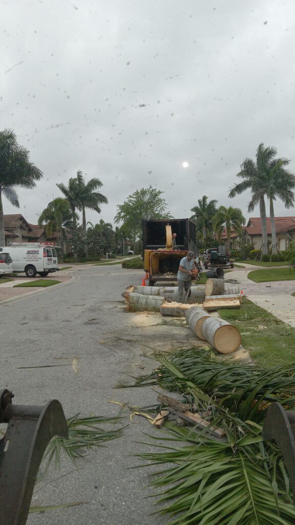Storm-damaged street with cut tree limbs and debris piled along the roadside, under cloudy skies.