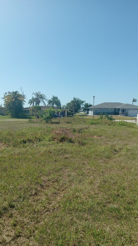 Open grassy field under a clear blue sky with trees and a building in the distance