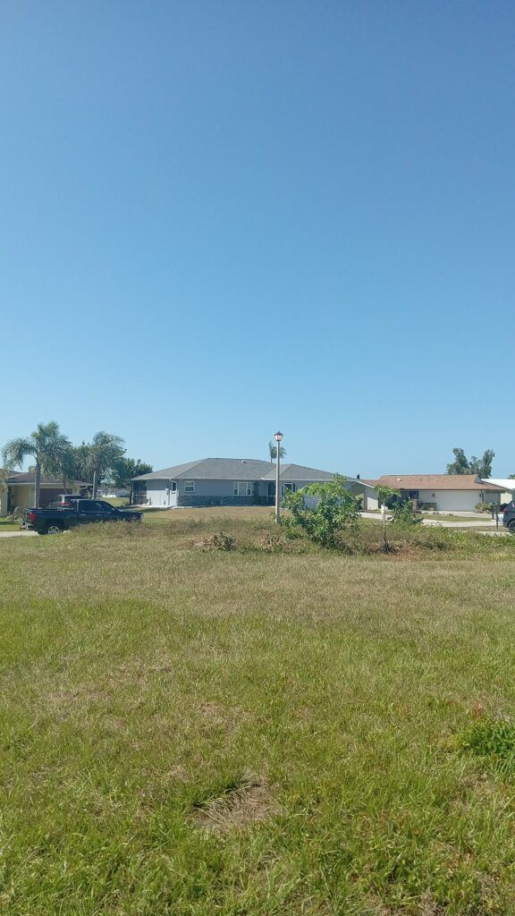 Sunny vacant lot with dry grass, suburban houses, and a clear blue sky.