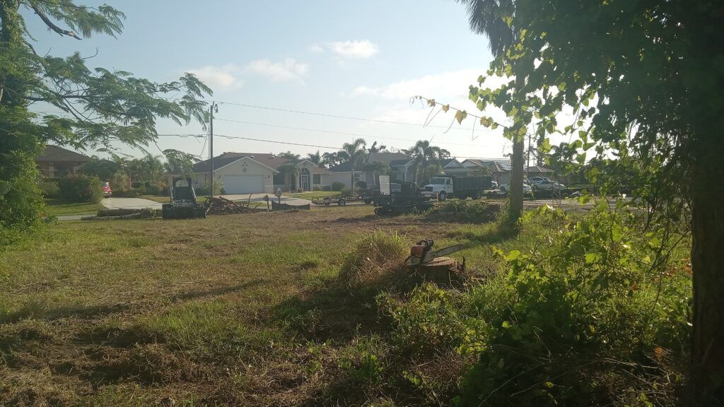 Open field under bright sun with trees, a small excavator, and buildings in the distance