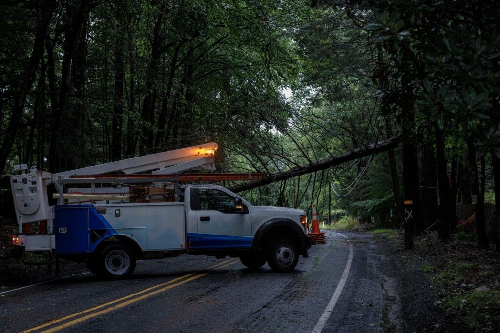 Utility truck on a forest road at dusk, with an amber beacon and trees arching overhead
