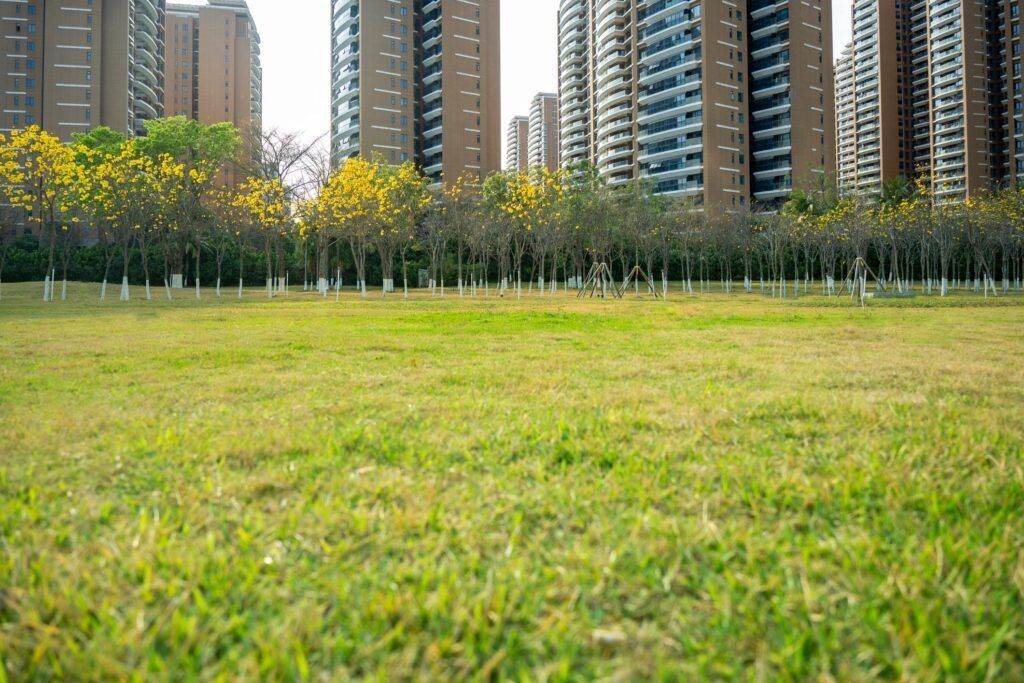 Grassy park with yellow flowers, trees, and tall apartment buildings in the background