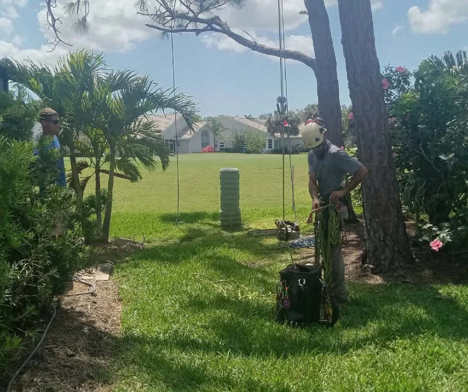 Two scarecrows in a sunny backyard with grass, trees, and a house in the distance