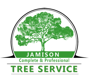 Jamison Complete & Professional Tree Service logo with green tree and text on white background