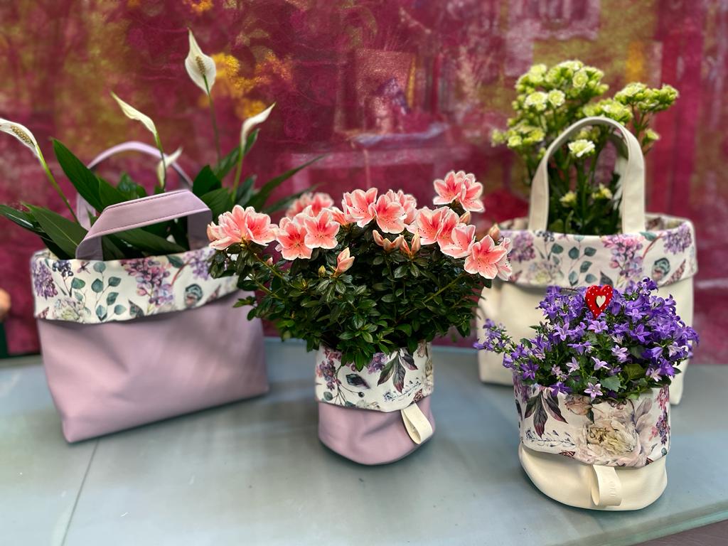 piante e fiori