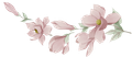 dettaglio logo