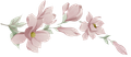 dettaglio logo