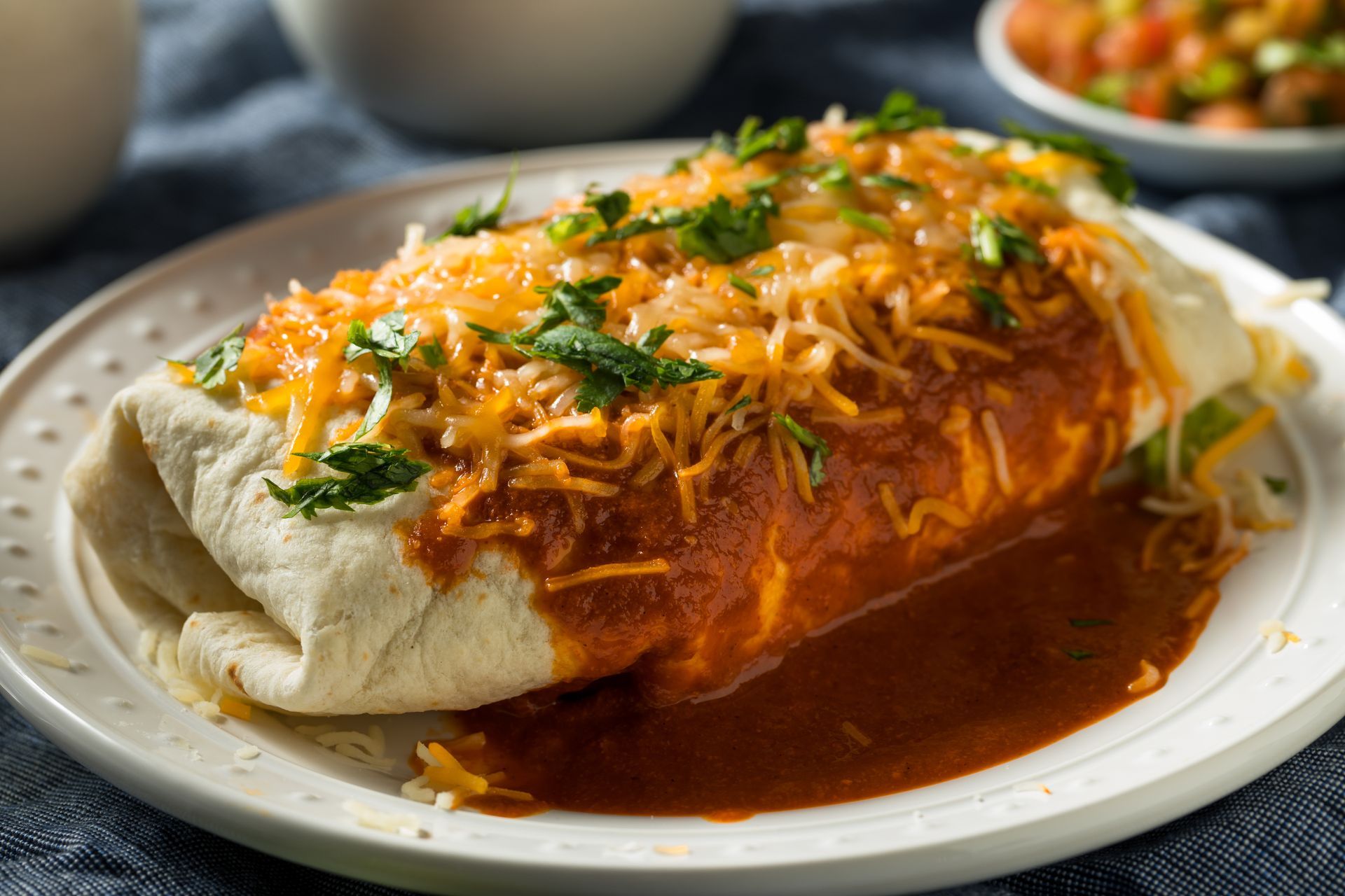 Enchilada smothered in red sauce and cheese on a white plate, garnished with cilantro