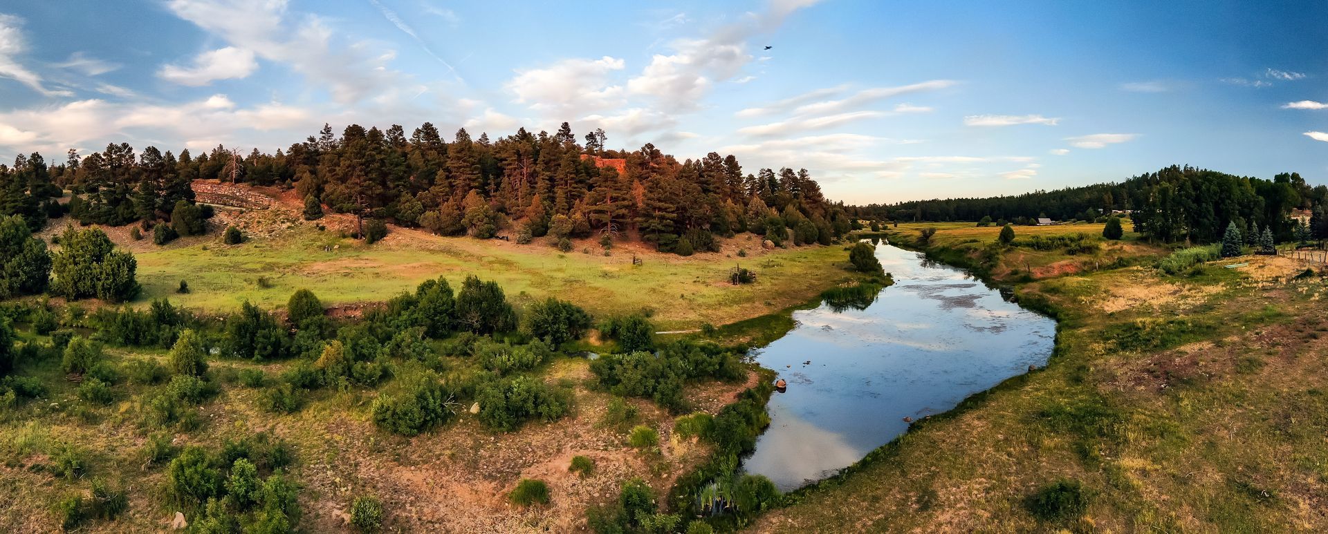 A winding stream through grassy wetlands with trees under a partly cloudy sky