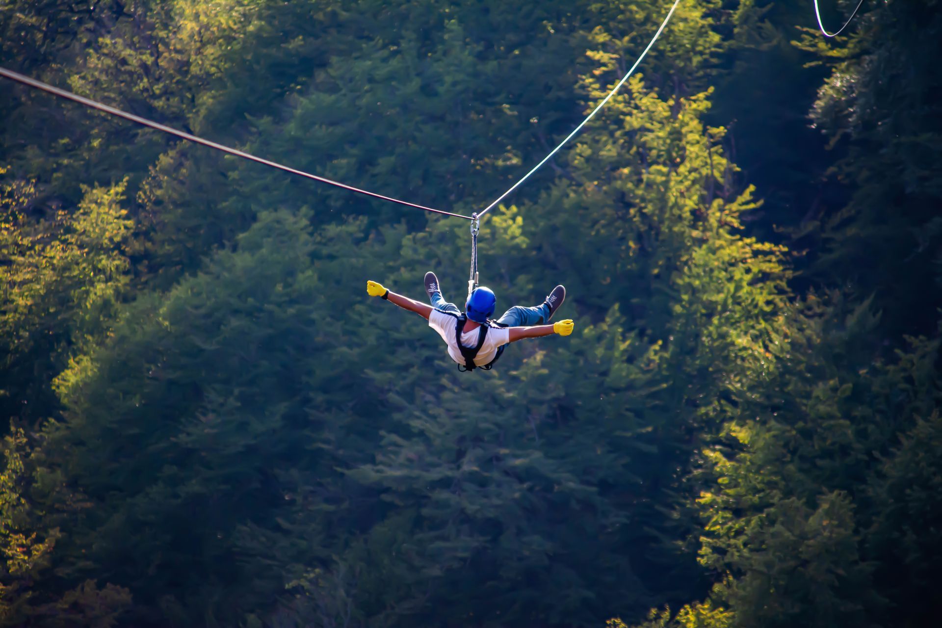 Person ziplining through a forest, suspended on a cable above dense green trees