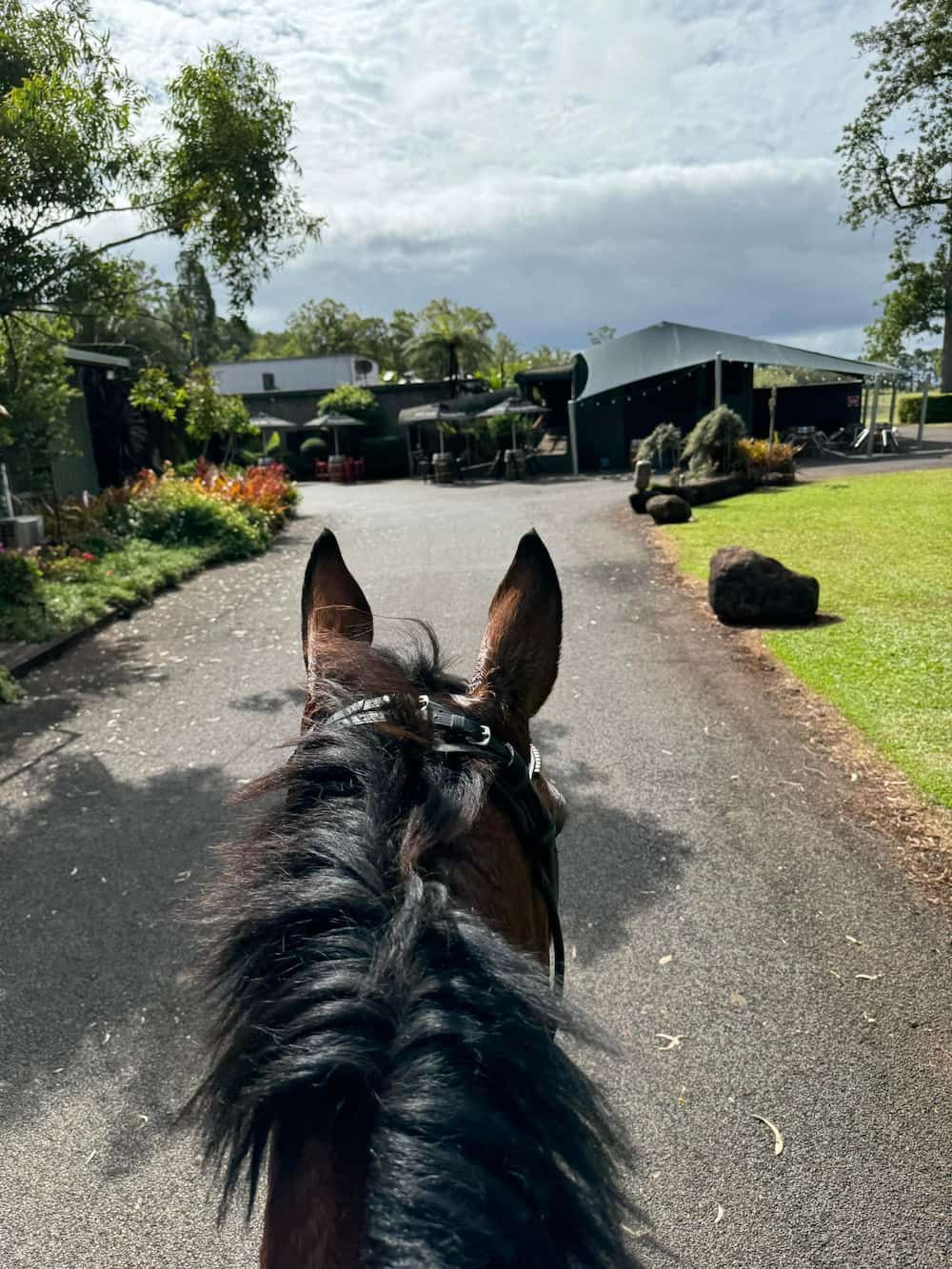 A Person is Riding a Horse Down a Road — Meraki Equestrian Centre in Mareeba, QLD