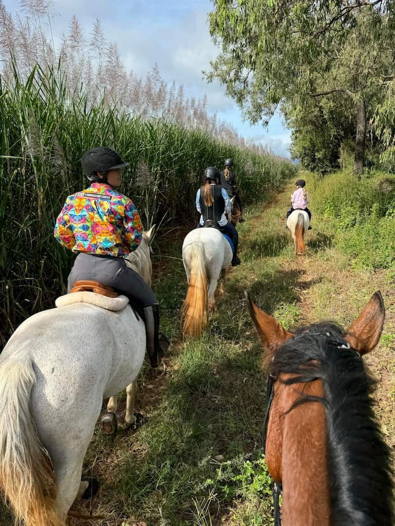 Meraki Cross Country Equestrian