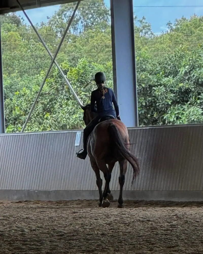A Woman is Riding a Brown Horse in an Indoor Arena — Meraki Equestrian Centre in Mareeba, QLD