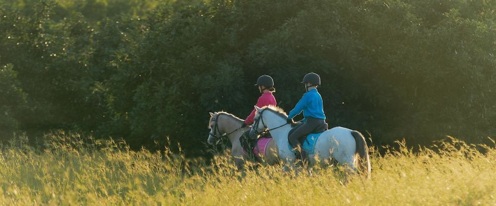 Two People Are Riding Horses in a Field — Meraki Equestrian Centre in Mareeba, QLD