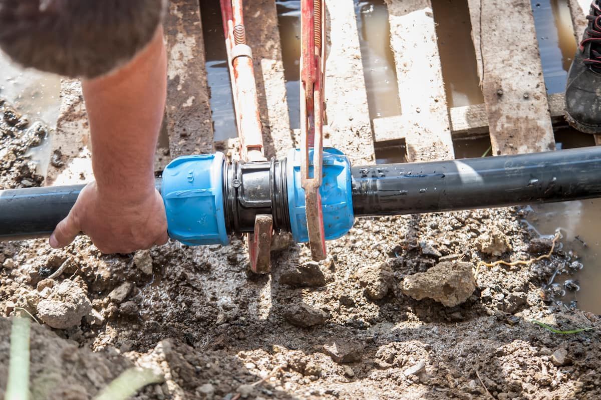 Worker Joins a Black Pipe With a Blue Clamp in Muddy Ground — Mark's Plumbing in Lake Haven, NSW