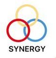 Synergy Synergy