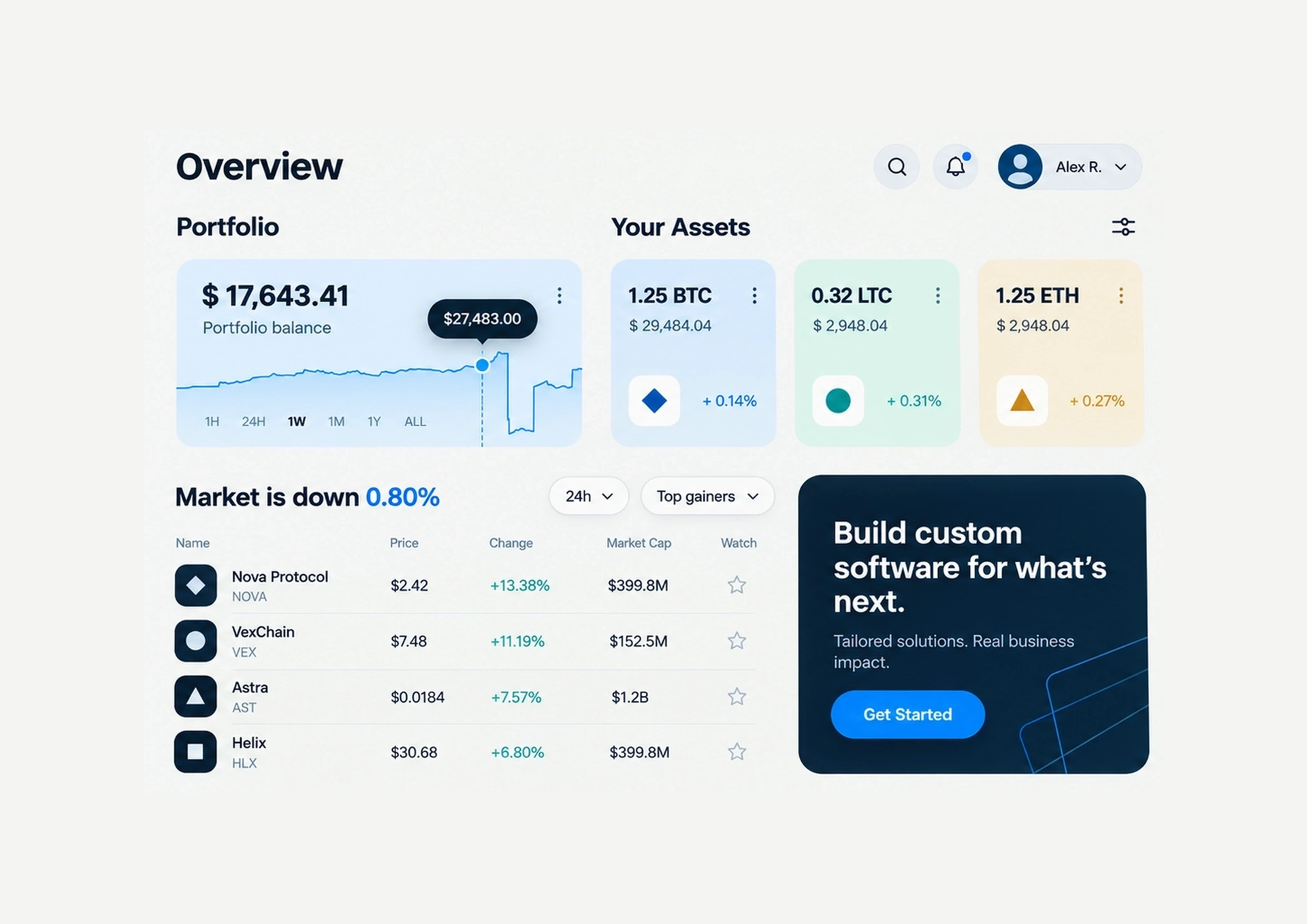 Custom software dashboard with portfolio analytics, digital assets, market data, and performance charts.