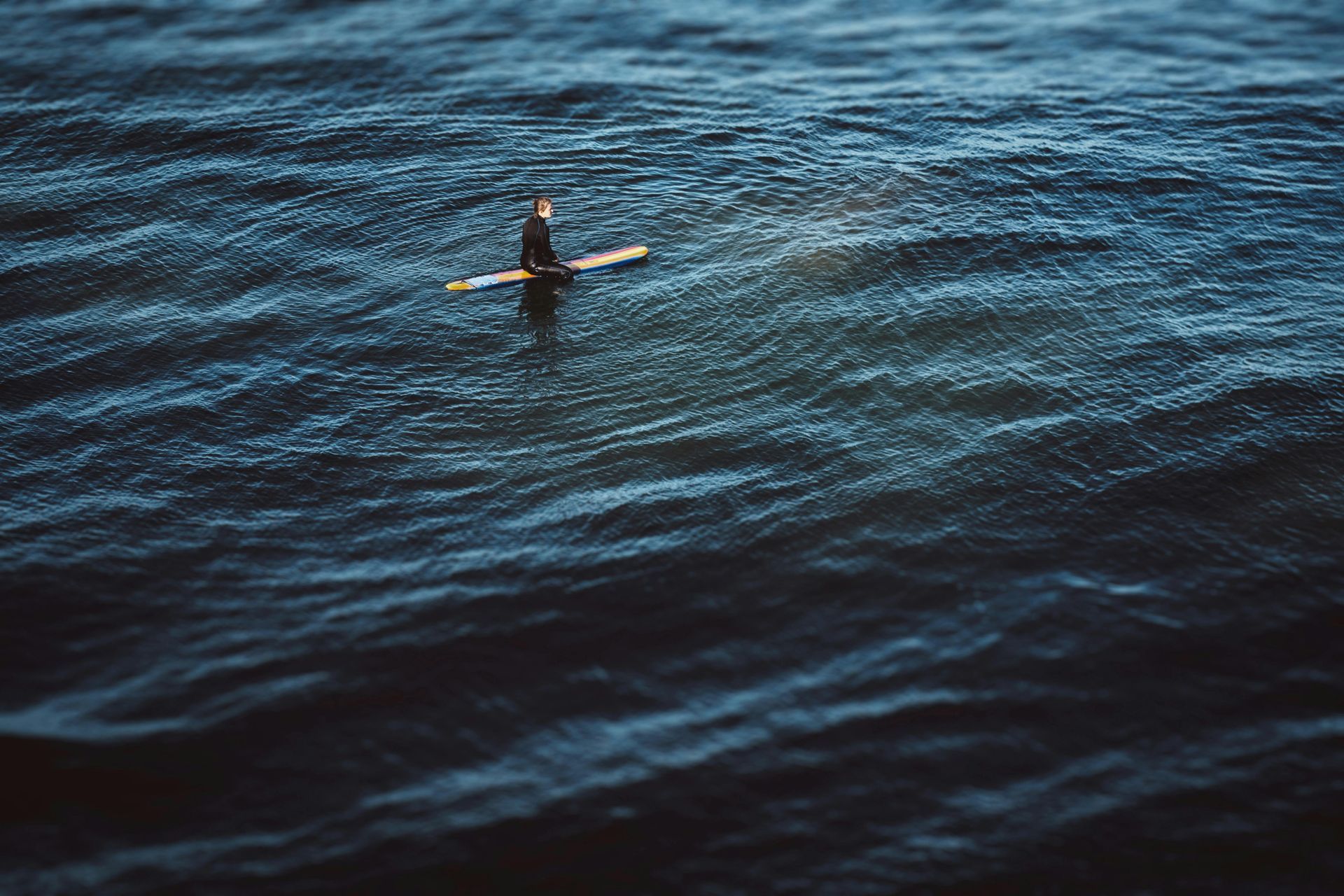 surfer in the water