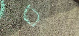 Close-up of a shingle with a turquoise ring shape near the center-left, indicating storm damage