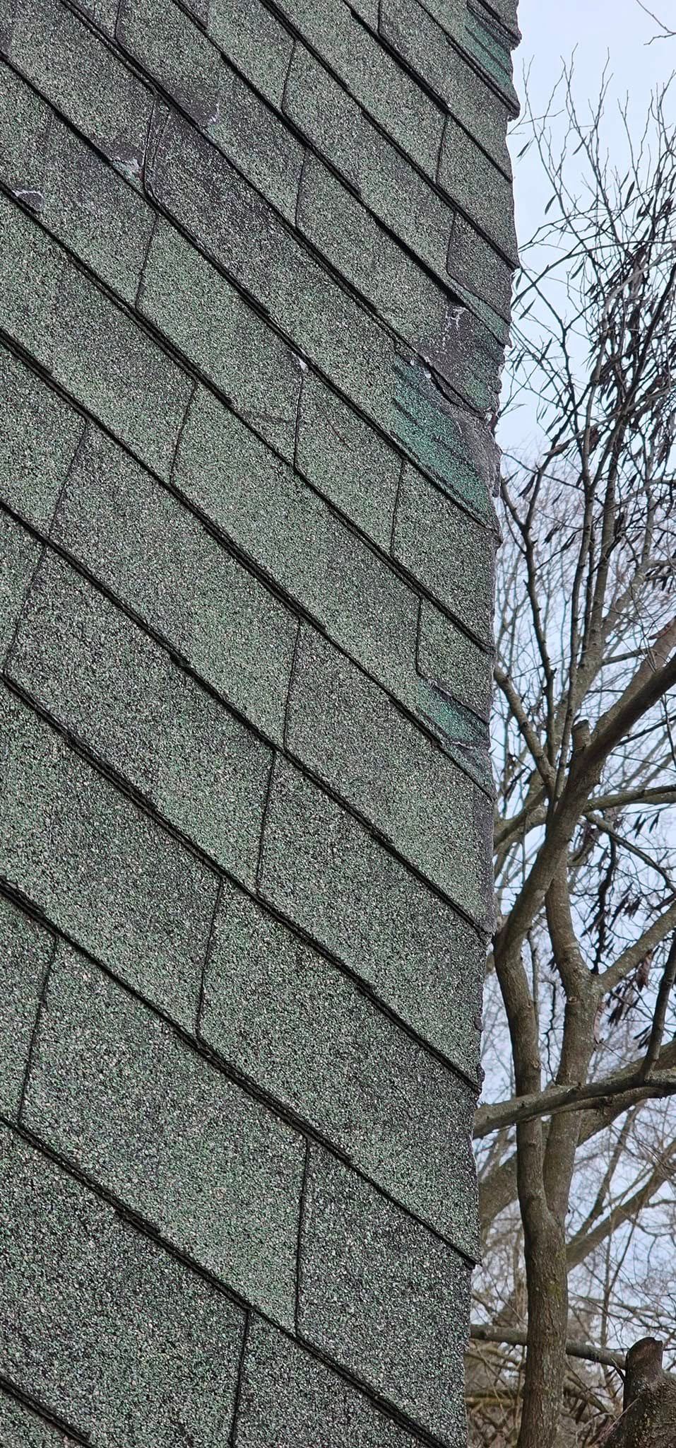 Close-up of a gray shingled building wall beside leafless tree branches under a pale sky