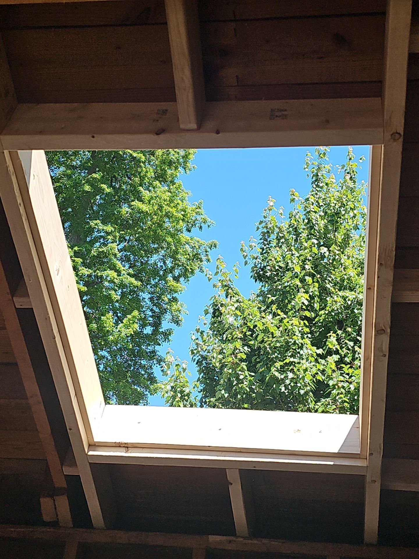 View through a skylight to green trees and blue sky, framed by unfinished wooden rafters.