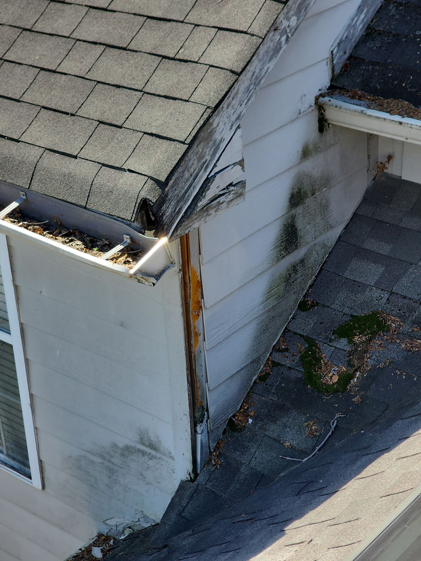 Damaged house corner with peeling white siding, cracked roof edge, and dark stains on the wall and pavement