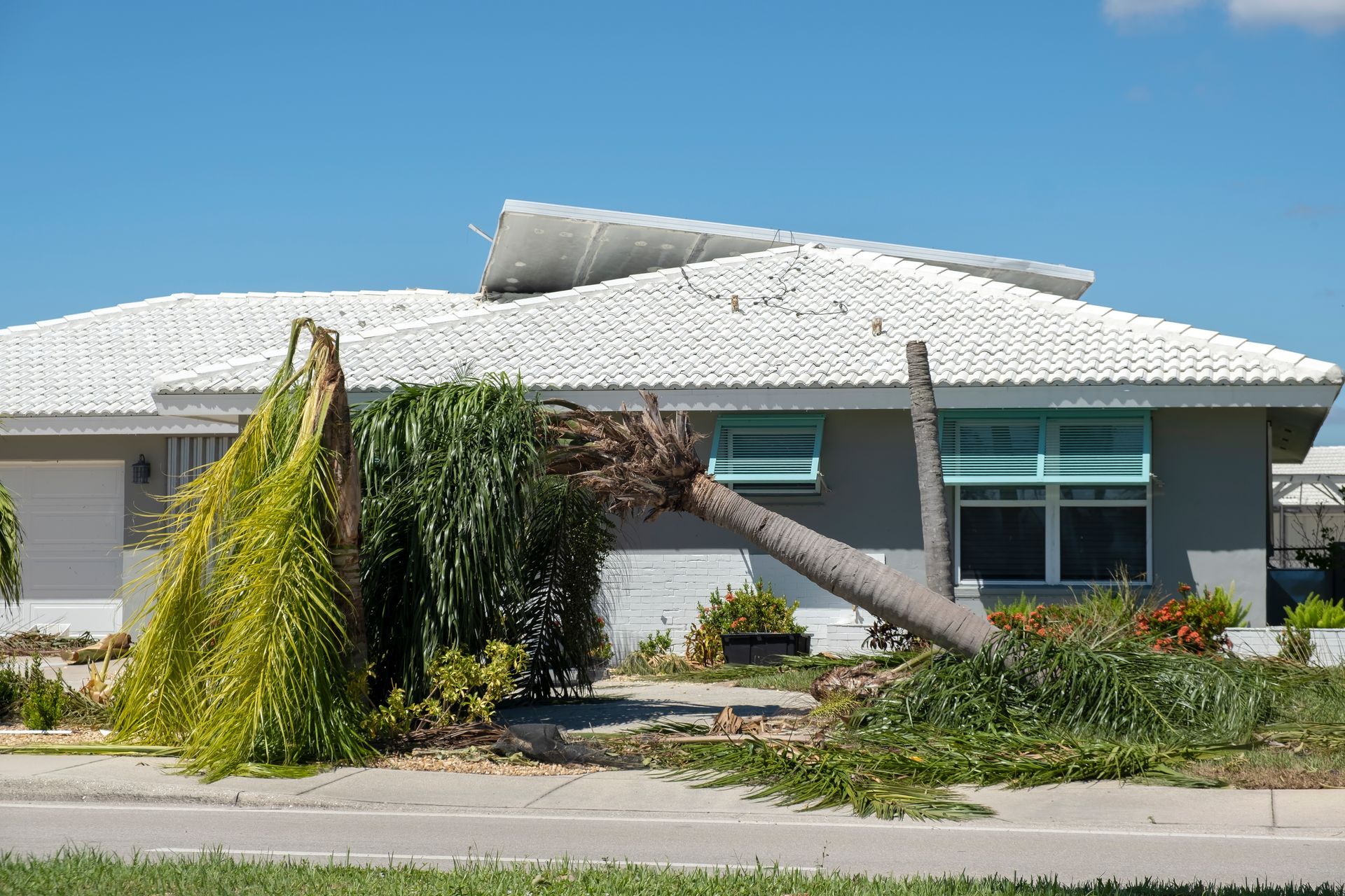 Damaged house with a fallen tree crushing the front yard under a clear blue sky