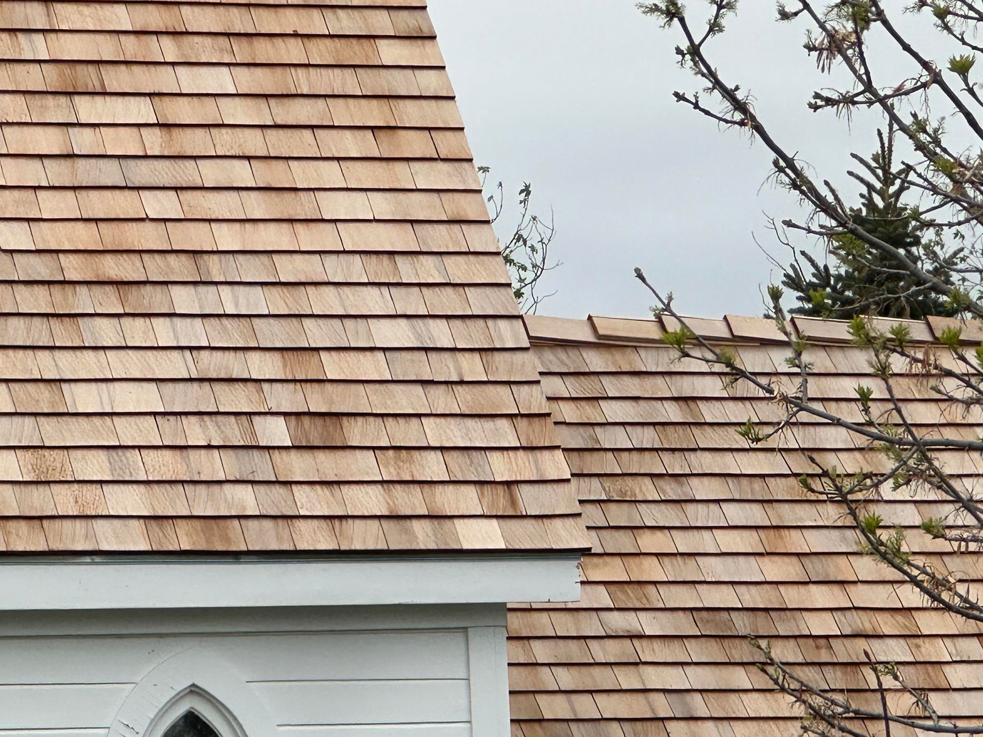 Cedar shake shingle roof with a dormer and bare tree branches against a gray sky
