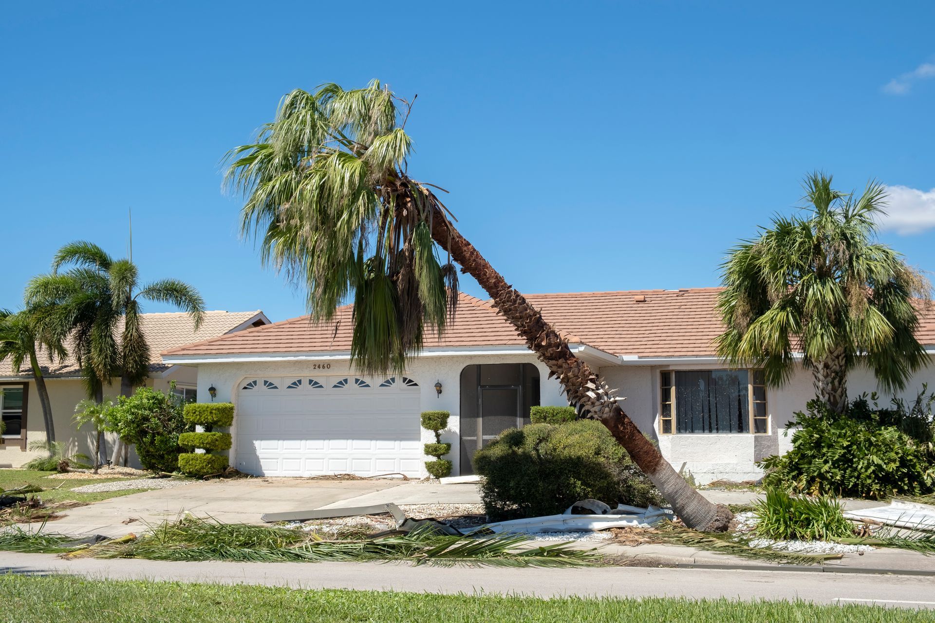 Suburban house with leaning palm tree in front yard under a bright blue sky