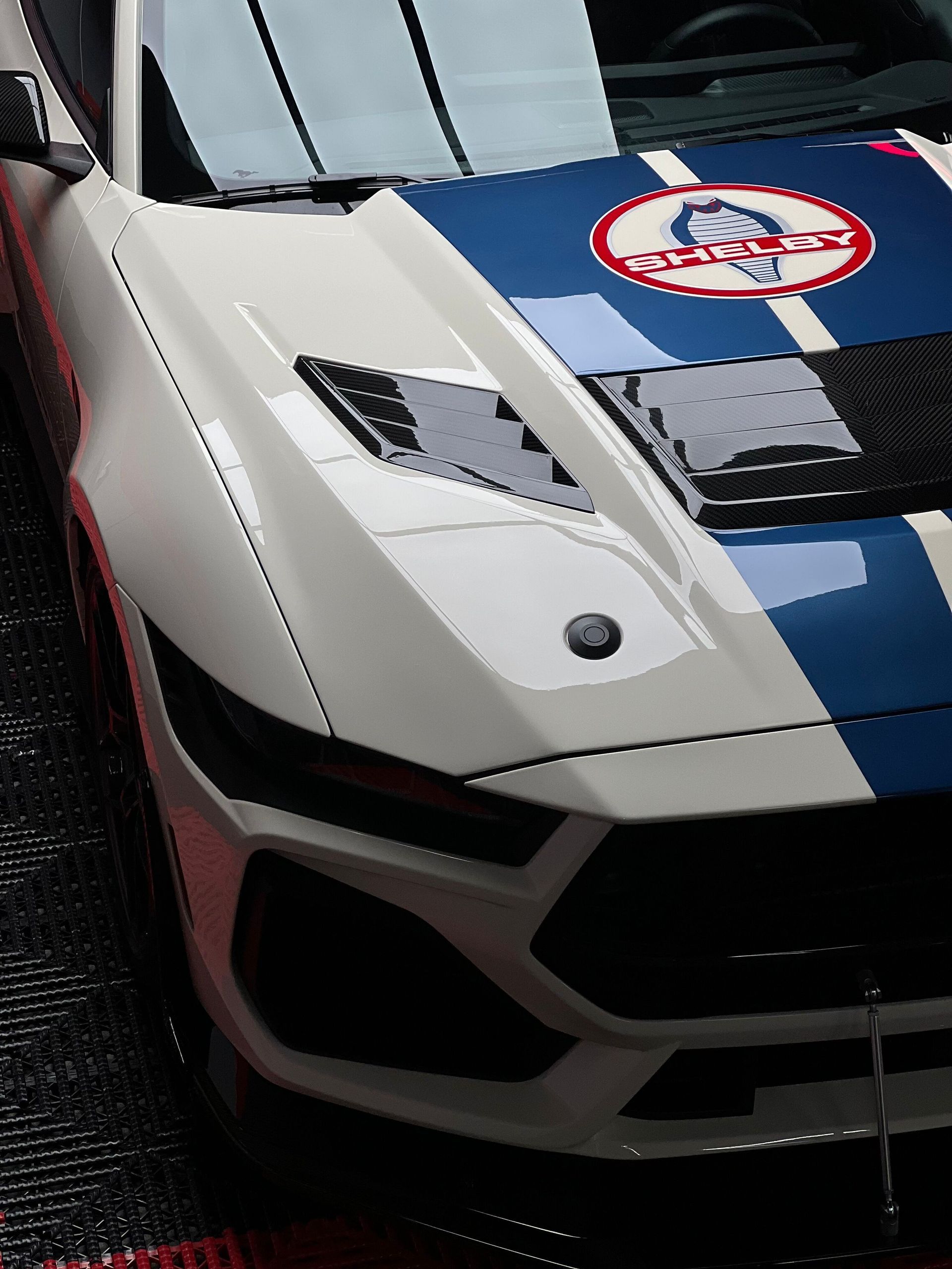 Close-up of a white and blue race car hood with decals and a red circle emblem