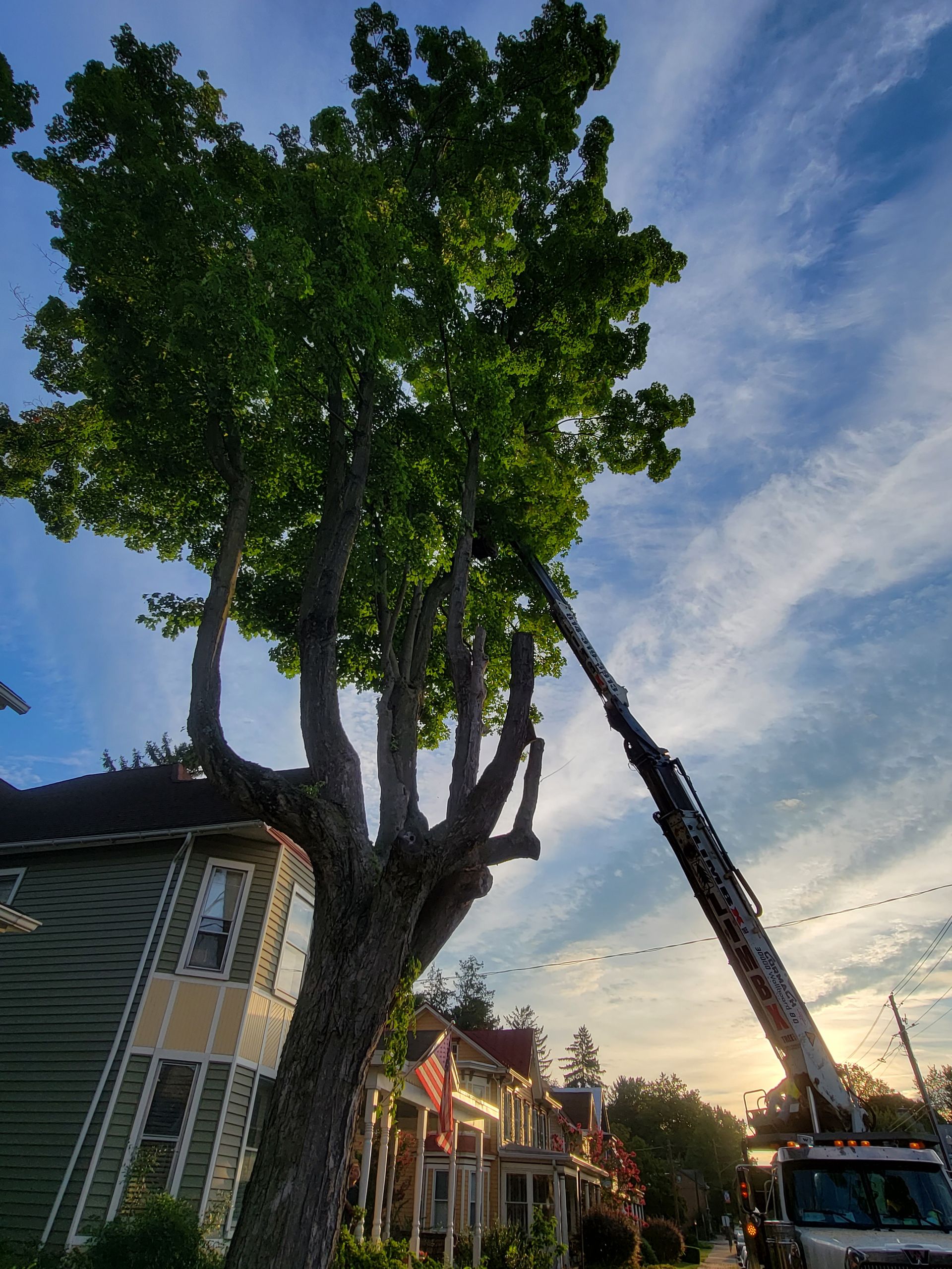 Tree Service Gallery | Top Notch Tree and Landscape LLC | Carlisle, PA