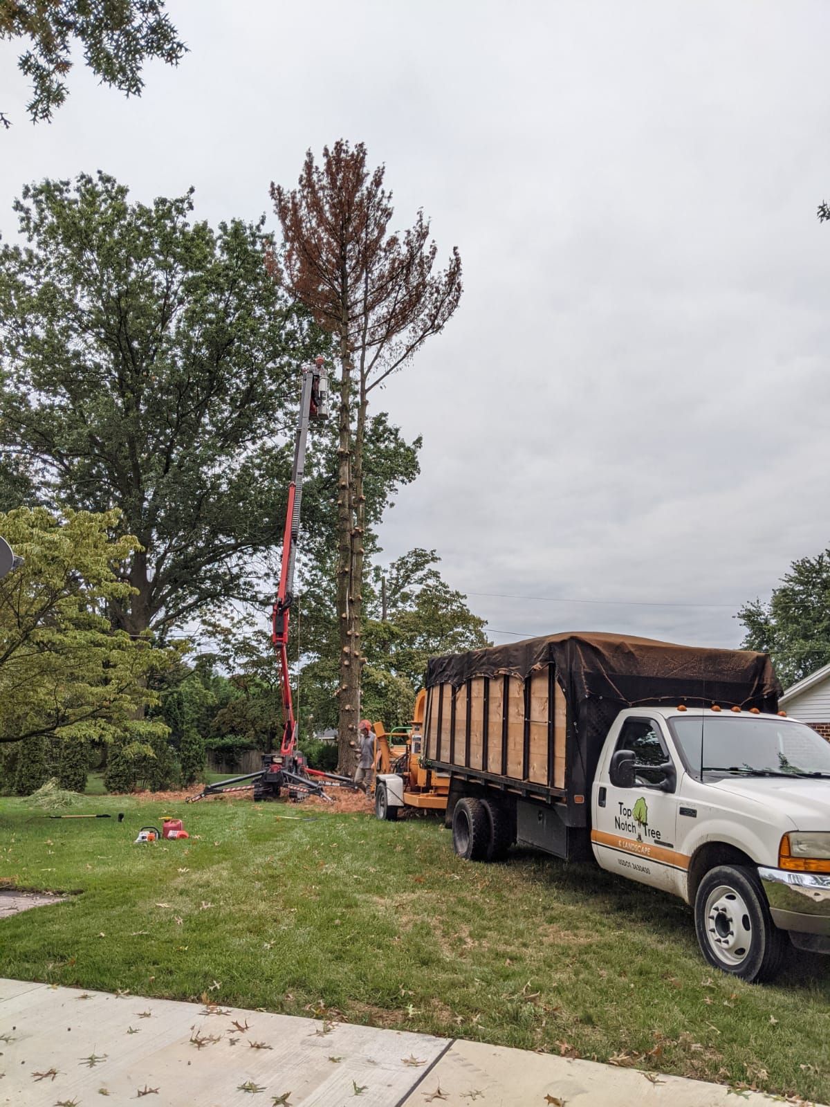 Tree Service Gallery | Top Notch Tree and Landscape LLC | Carlisle, PA