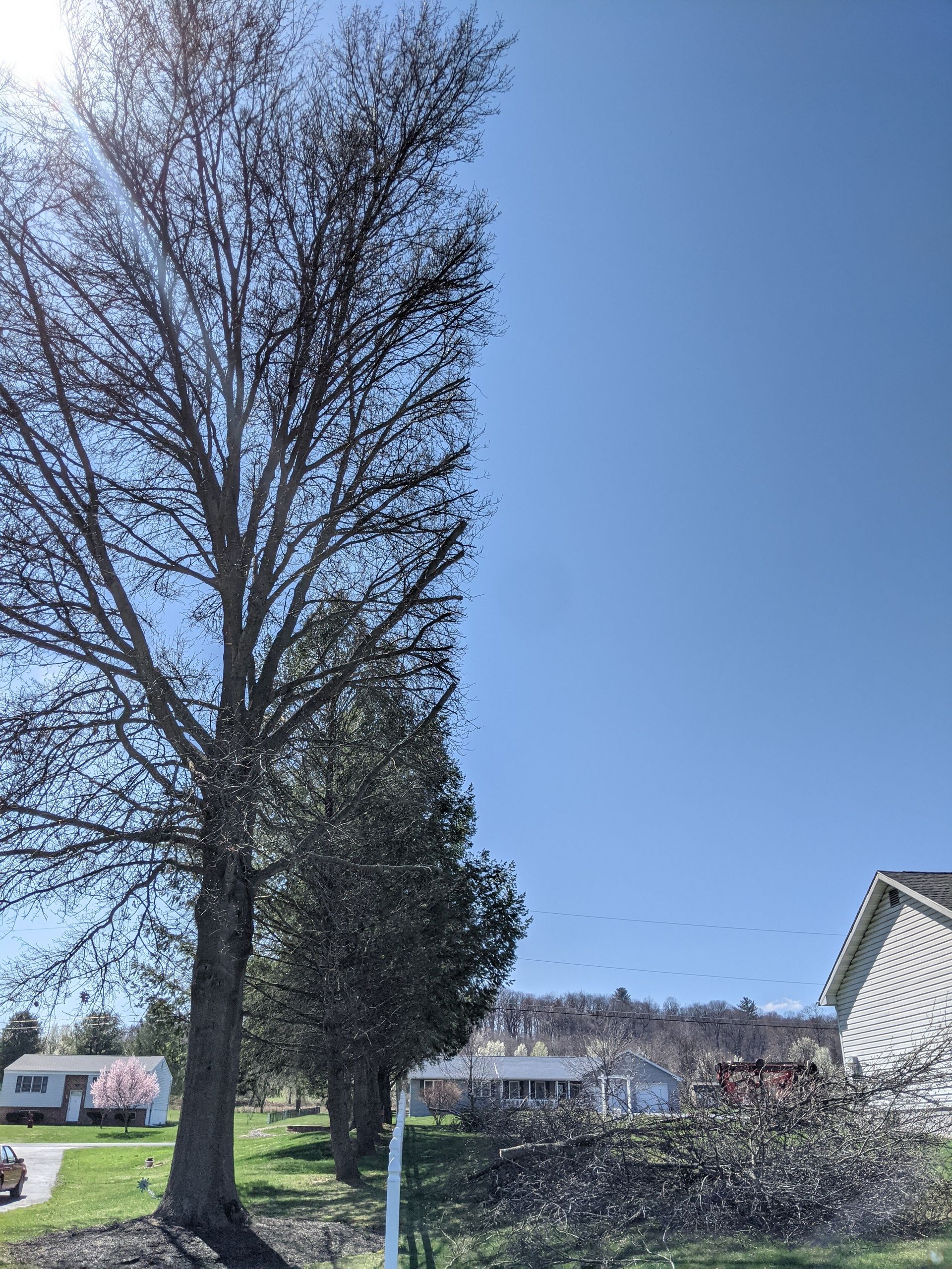 Tree Service Gallery | Top Notch Tree and Landscape LLC | Carlisle, PA