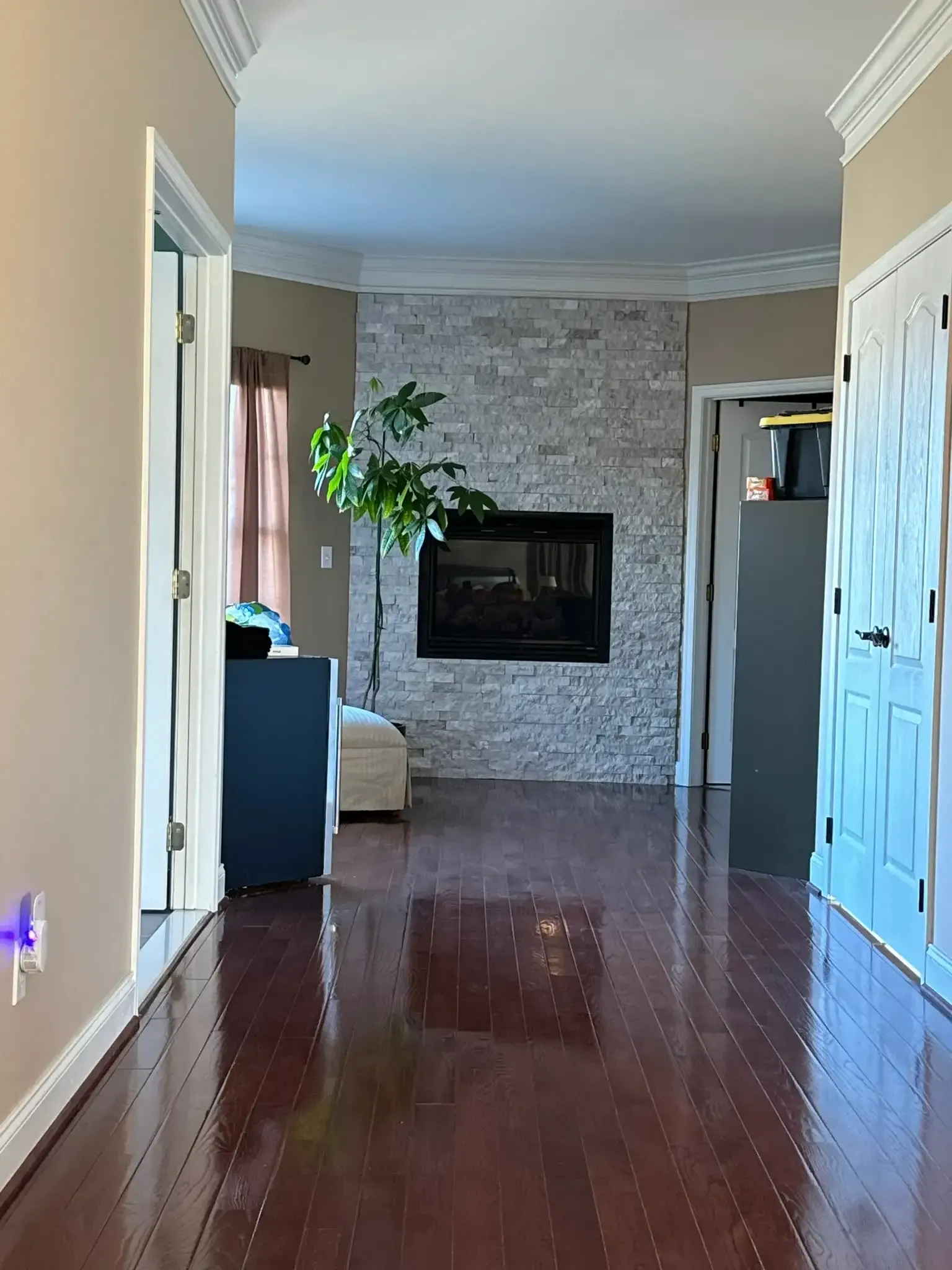 Long hallway with glossy wood floors, fireplace, plant, and blue double doors.