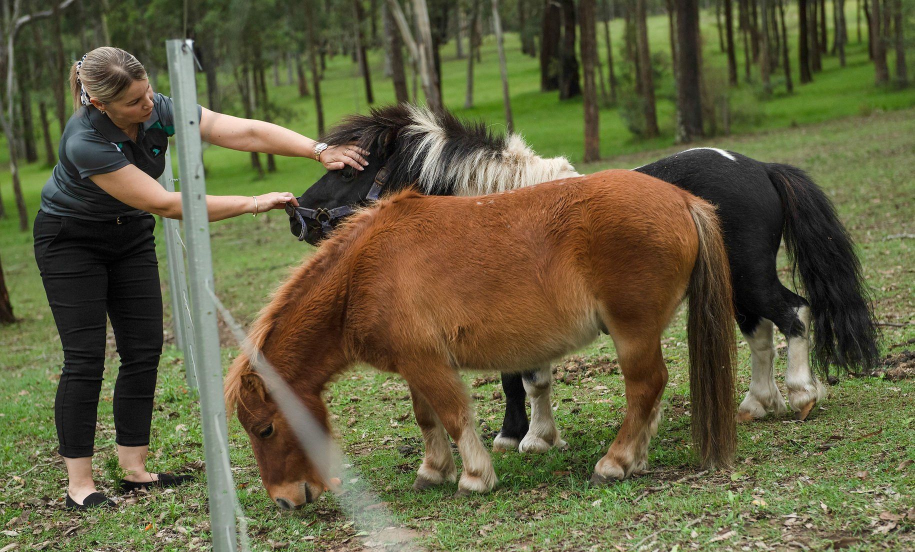 A woman is petting two horses in a field.