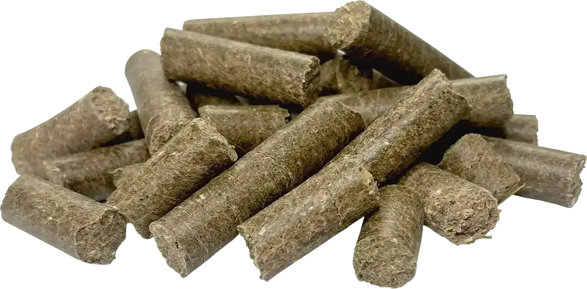 Fibre Assist | Horse Feed Range from Harwood Grains